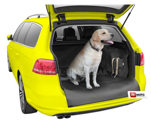 Fit skoda superb premium - fit, car