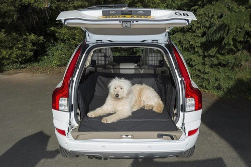 Waterproof quilted padded - quilted, dog